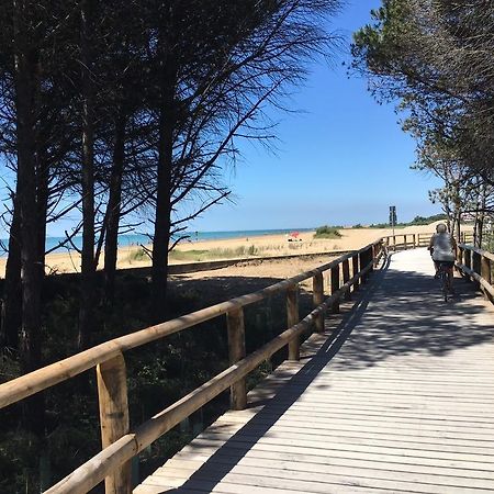 Appartamenti Diana Est Bibione Exterior foto